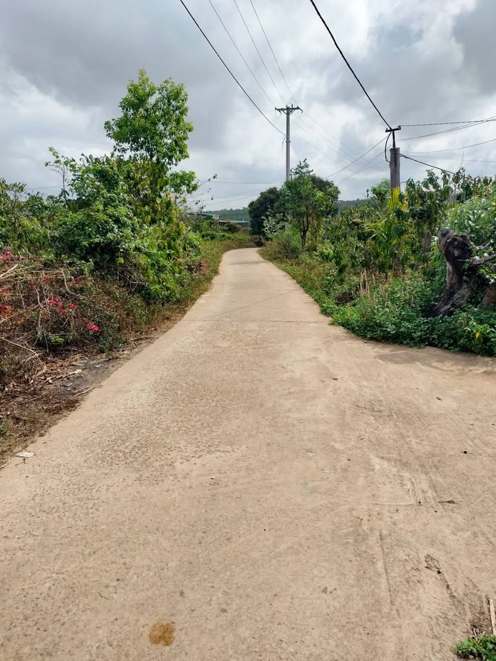 Đất Rẫy Ea H'Leo - 25ha Pháp Lý Trích Lục - Giá Đầu Tư 2.5 Tỷ