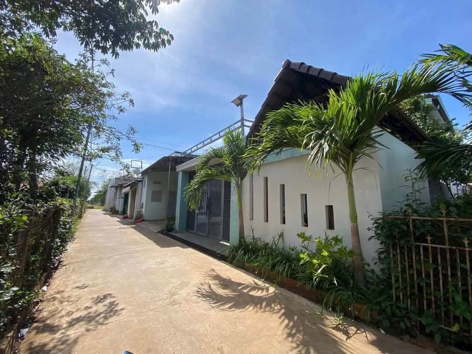 Đất Vàng Thế Lữ - Tuy Hòa: Lô 100m² Giá 1.49 Tỷ, Đối Diện Chợ Tân Hoà