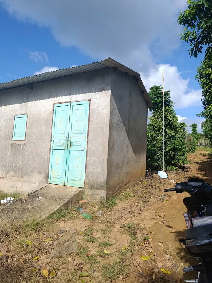 Đất Vườn Đắk Lắk 15.120m² - Trồng Cà Phê, Tiêu, Sẵn Nhà, Giá 1 Tỷ