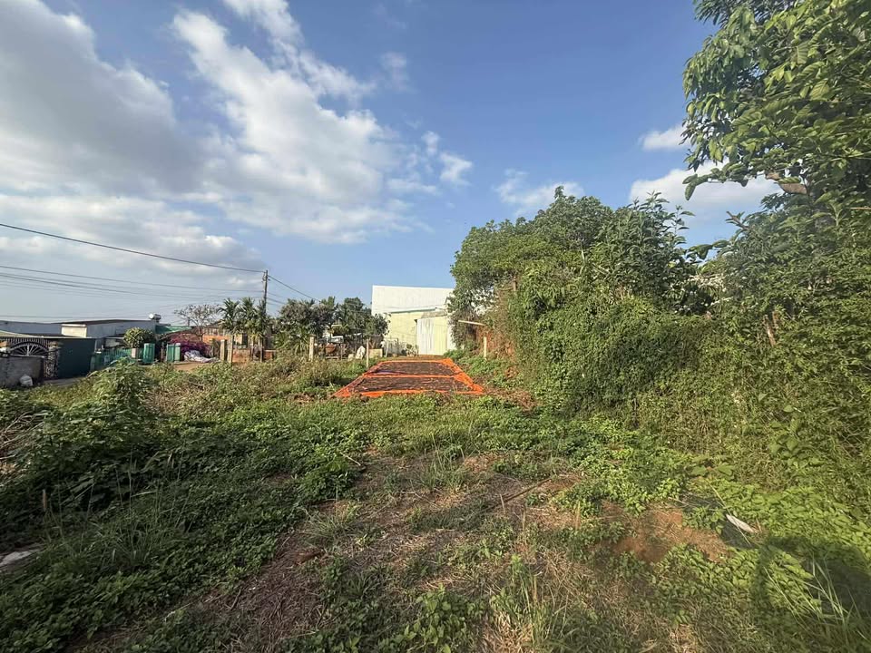 Bán Đất Mặt Tiền Nguyễn Vĩnh Thuật, Đắk Mil 150m² - Giá 1.05 Tỷ