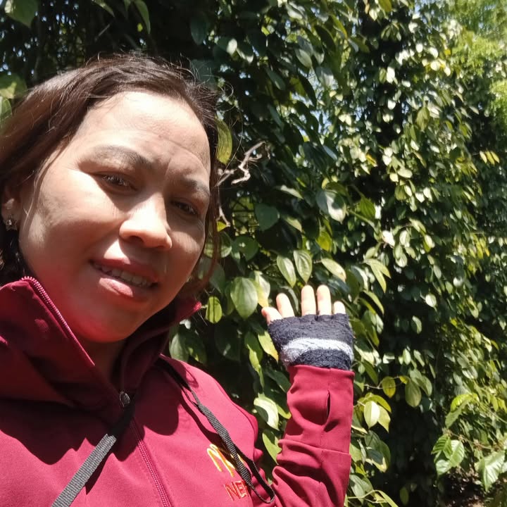 Đất Nông Nghiệp 14000m² Đắk Song - Giá 2 Tỷ, Sẵn Sàng Đầu Tư