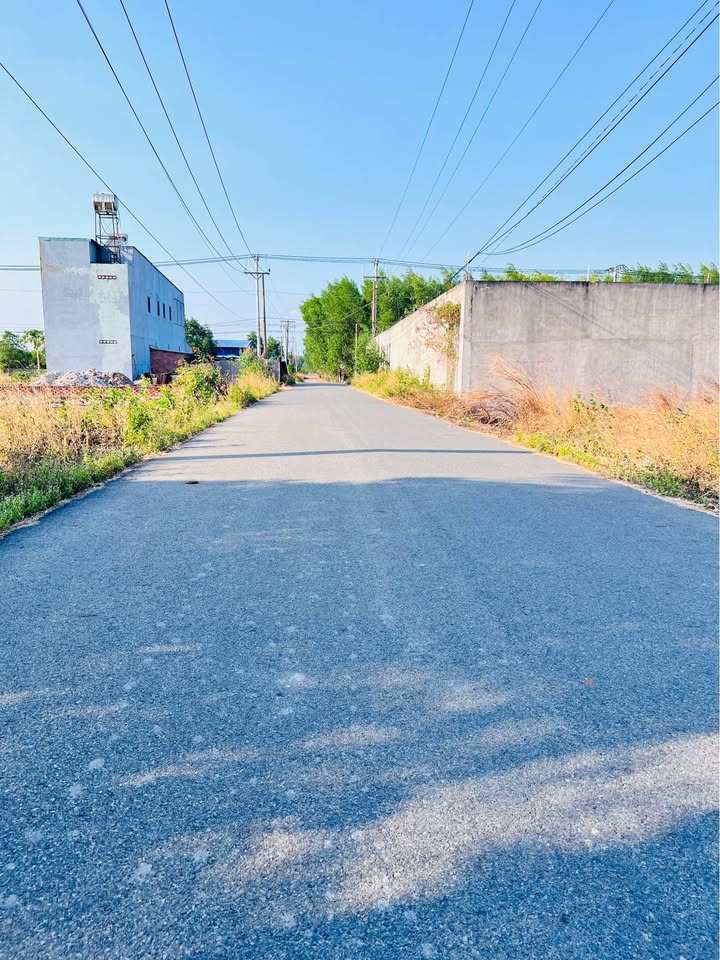 Đất Tóc Tiên, Phú Mỹ 60m² Thổ Cư Hướng Đông - Đầu Tư Sinh Lời