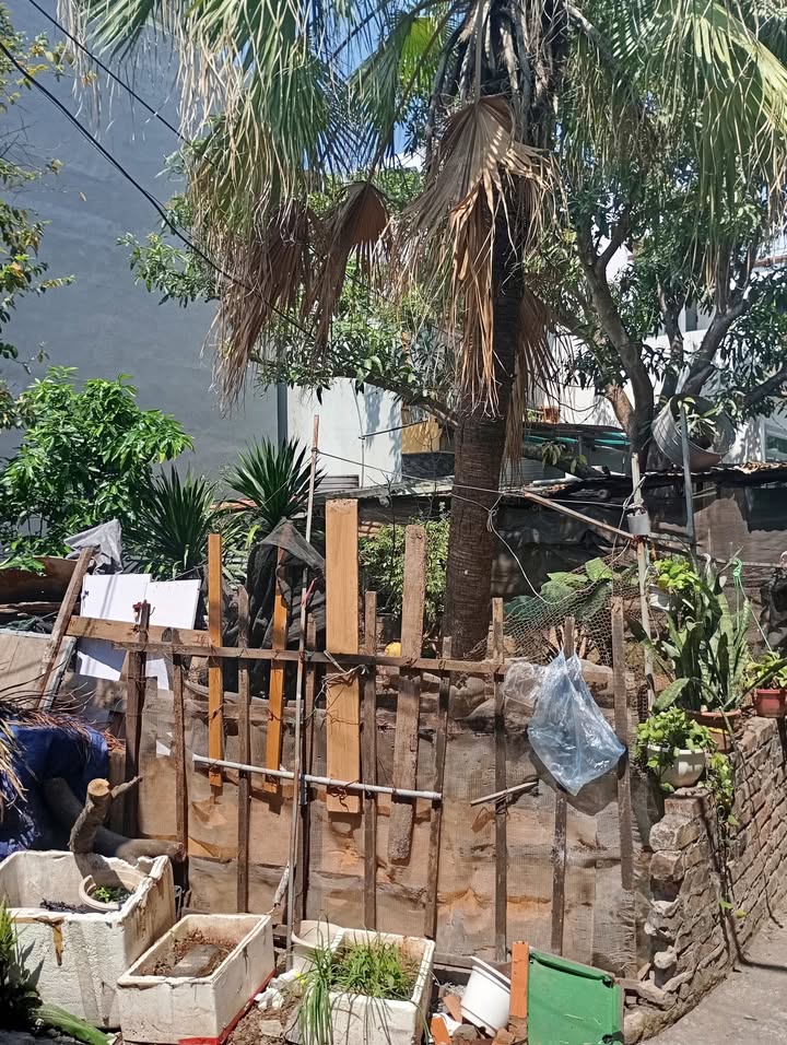 Bán đất Đại Áng, Thanh Trì 37m² - Sổ sẵn, ô tô đỗ cửa, 4 tỷ