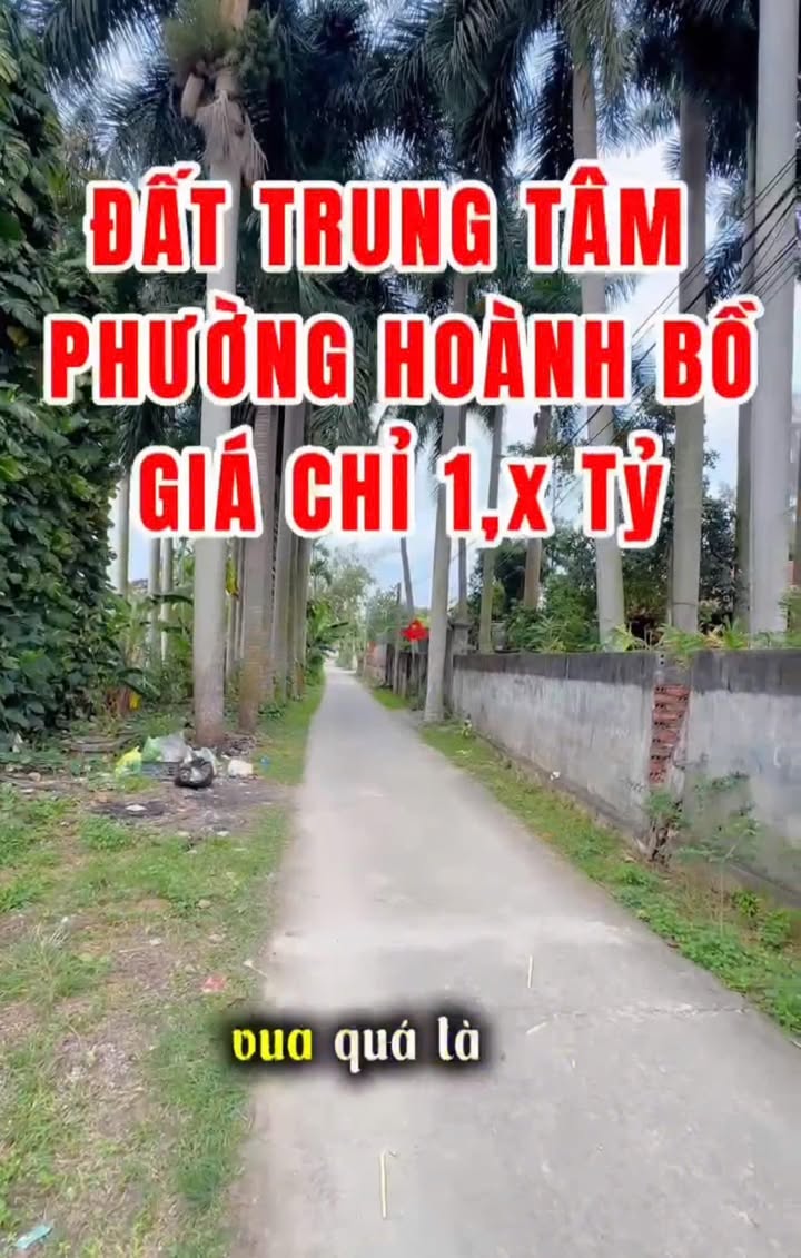 Đất Thổ Cư Hoành Bồ, Hạ Long 145m² - Sổ Hồng Riêng, Giá Tốt