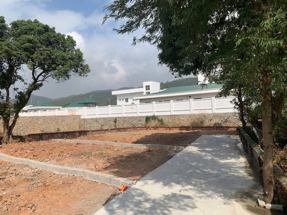 Bán Gấp 2 Lô Đất Vàng Đại Yên, Hạ Long - 92m² Giá 1.5 Tỷ/Lô