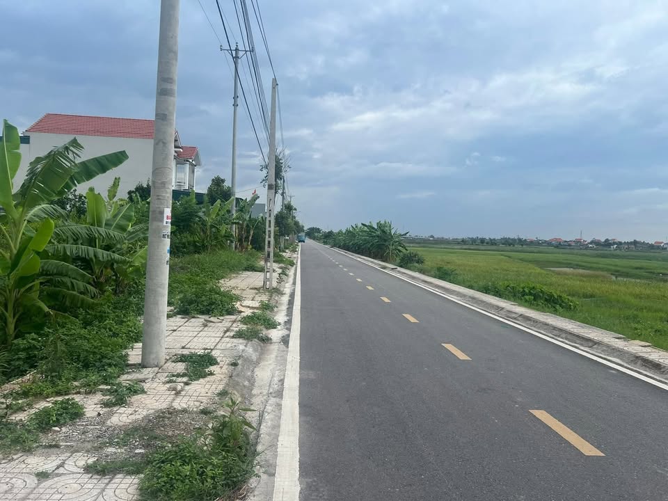 Đất Đấu Giá Quảng Ninh 240m² Mặt Tiền 12m - Giá Tốt Đầu Tư