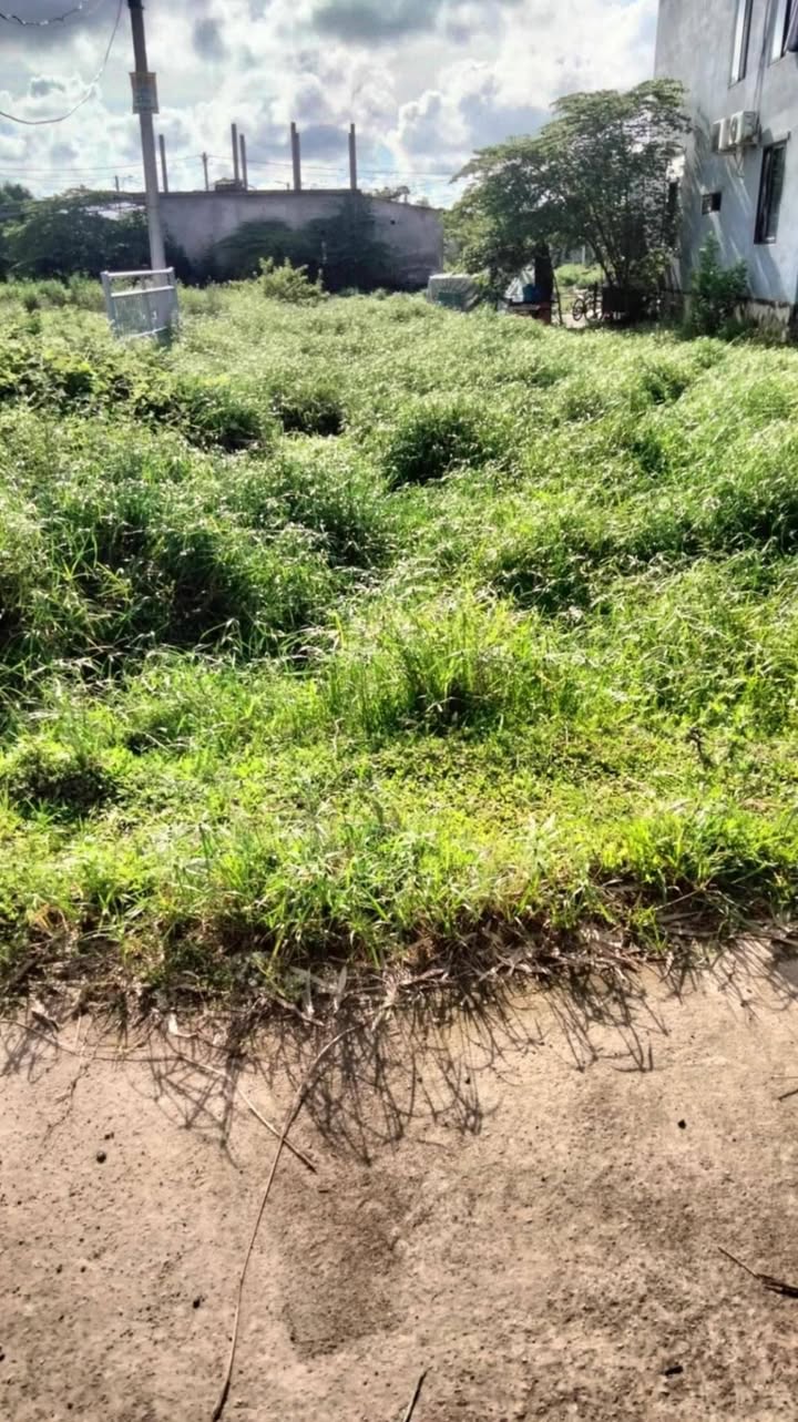 Đất 2 Mặt Tiền 150m² Đường Trịnh Cương, Huế - Giá 1.2 Tỷ, Sổ Đỏ