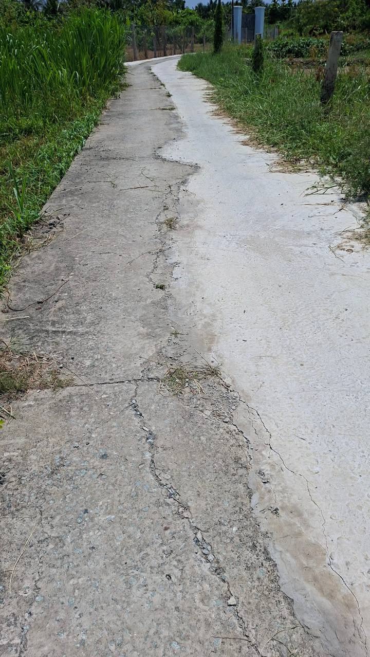 Đất thổ cư 160m² Đan Bình Tâm, Tân An - Sổ đỏ, 650 triệu