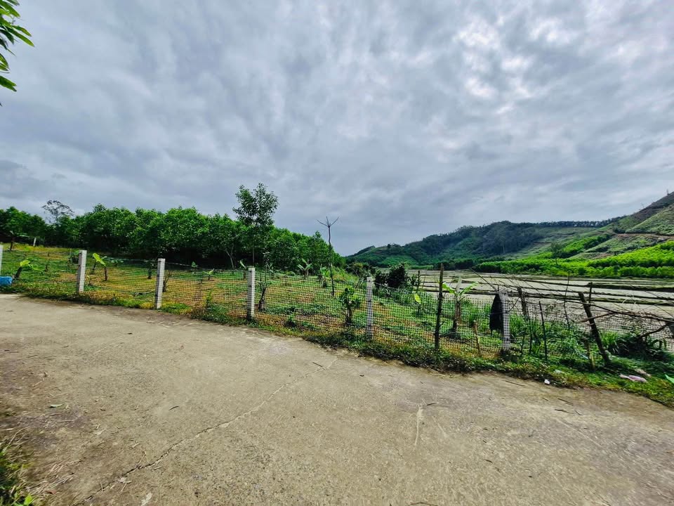 Bán Đất Vườn Đà Nẵng 5900m² Giá 3.16 Tỷ - View Đồng & Đồi Núi