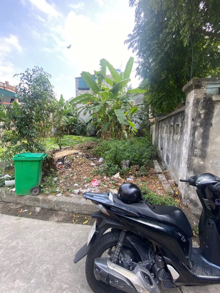 Đất Vạn Phúc Thanh Trì 73.3m² - Vuông vắn, ô tô tận nơi, sổ đỏ chính chủ