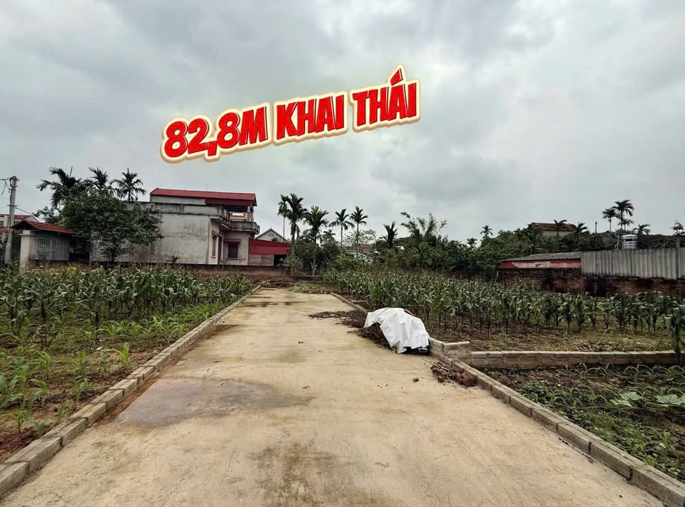 Đất nền Thanh Trì 82.8m² - Sổ đỏ chính chủ, ô tô vào nhà