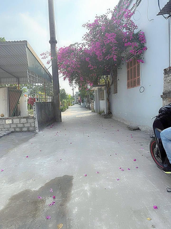 Đất Góc Mặt Tiền Kinh Doanh 68m² Đại Xuyên, Phú Xuyên - Giá 3 Tỷ