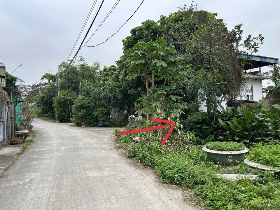 Đất Sổ Đỏ Thôn Tân Tín Vọng, Thanh Liêm 104m² - Giá 1 Tỷ