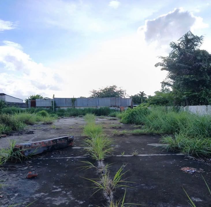 Đất Vườn Rộng 1547m² Sổ Hồng Riêng Tại Tân Hiệp, Hóc Môn - Giá Tốt