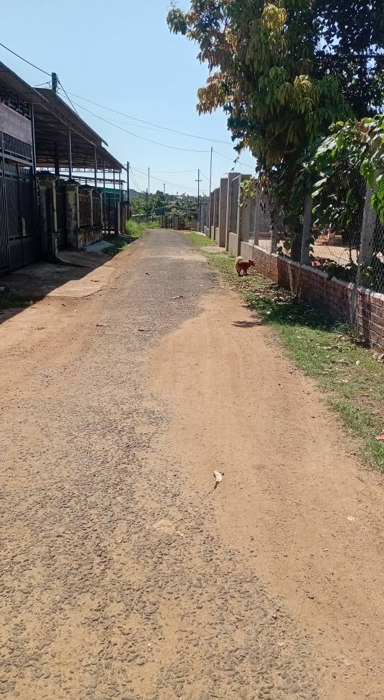 Đất Lô Góc 180m² Tại Chư Păh, Gia Lai - Sổ Đỏ Rõ Ràng, Sẵn Sàng Giao Dịch