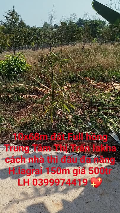 Đất Vườn Ia Grai 680m² Giá 500 Triệu - Sổ Hồng, Kinh Doanh Sầu Riêng