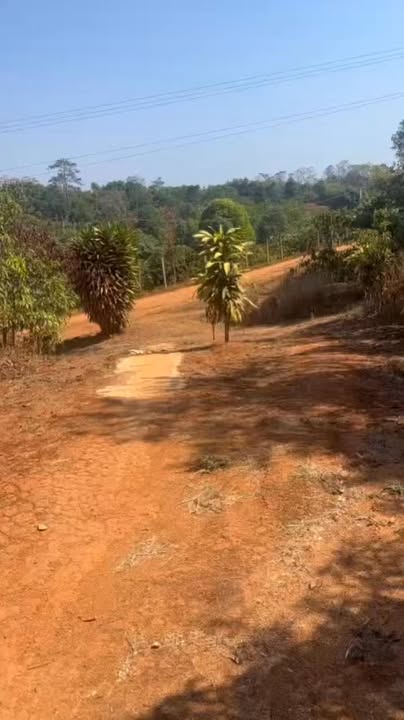 Bán đất ôm suối 8 sào - K'Dang, Đăk Đoa - Giá tốt 1.75 tỷ