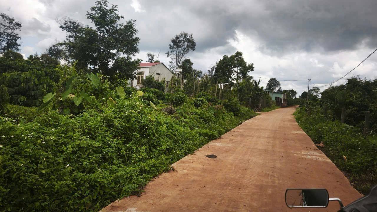 Đất Vườn Ia Sao Gia Lai 8200m² - Sổ Riêng, 3 Mặt Tiền, Giá 2.2 Tỷ