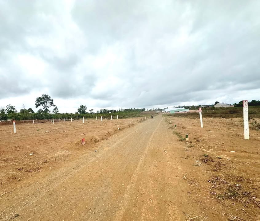 Đất Xây Dựng 175m² Hẻm Lý Chính Thắng, Quận 3 - Giá Tốt