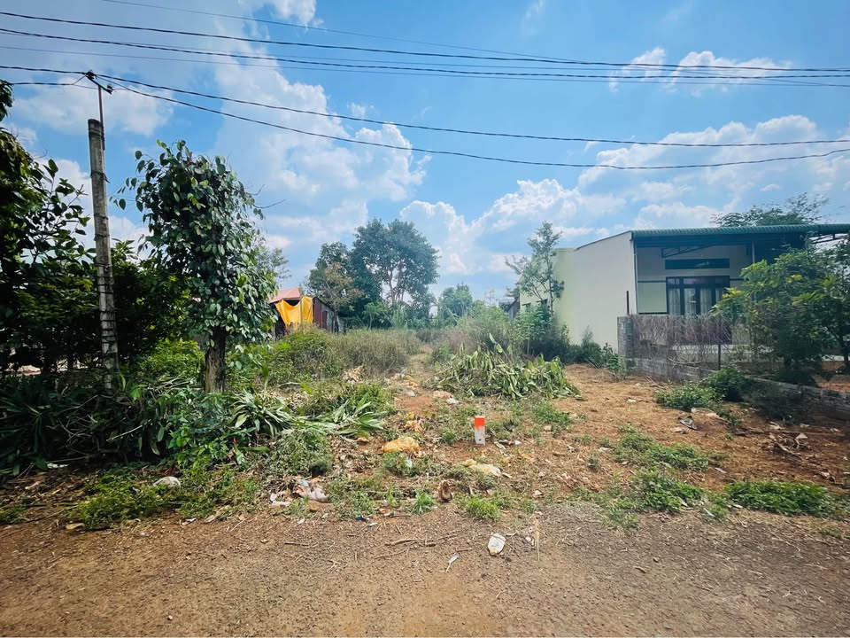 Bán đất nền Tỉnh lộ 664, Gia Lai - 150m² hướng Bắc, giá 790 triệu