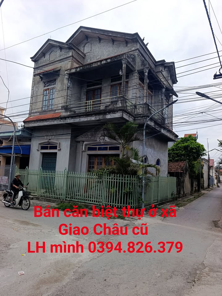 Bán Gấp Biệt Thự Lô Góc Mặt Tiền Trục Chính Xã Giao Châu, Nam Định - 125m²