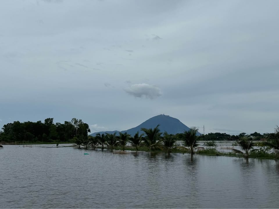 Bán Đất Vàng Phường Hiệp Ninh 208m² - Sổ Hồng Thổ Cư, Vị Trí Đắc Địa