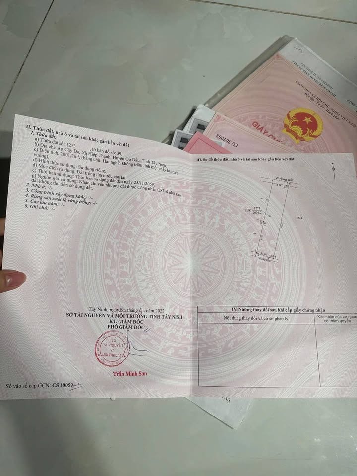 Đất Nền Gò Dầu, Tây Ninh - 2000m² Mặt Tiền Đường Nhựa Cây Da