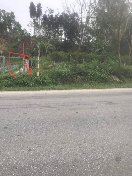 Đất Thổ Cư Tuyên Quang 100m² - Mặt Tiền QL2C, Kinh Doanh Vô Đối