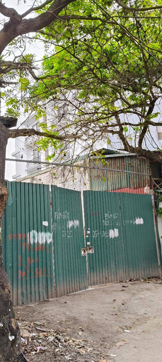 Bán đất 77m² Thúy Lĩnh, Hoàng Mai - Ô tô tránh, sổ đỏ chính chủ 12 tỷ