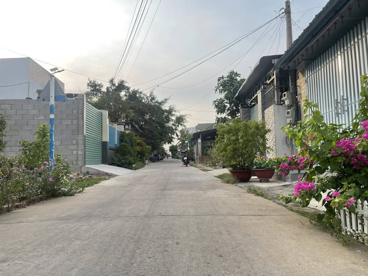 Đất Mặt Tiền Đường 58 Củ Chi 100m² - Sổ Thổ Cư Sẵn Sàng Giao Dịch