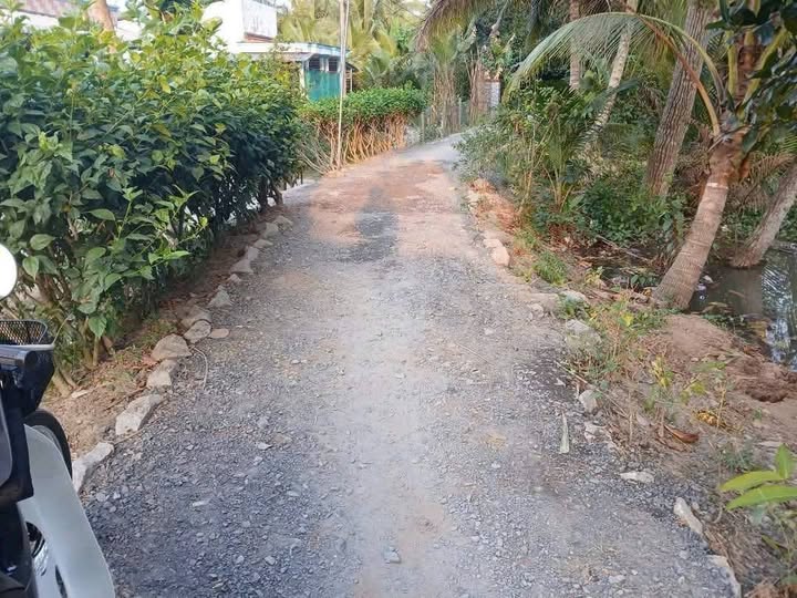 Bán Đất Nền Vĩnh Long - 284.6m² Thổ Cư, Sổ Hồng Riêng, Giá 200 Triệu/Thửa