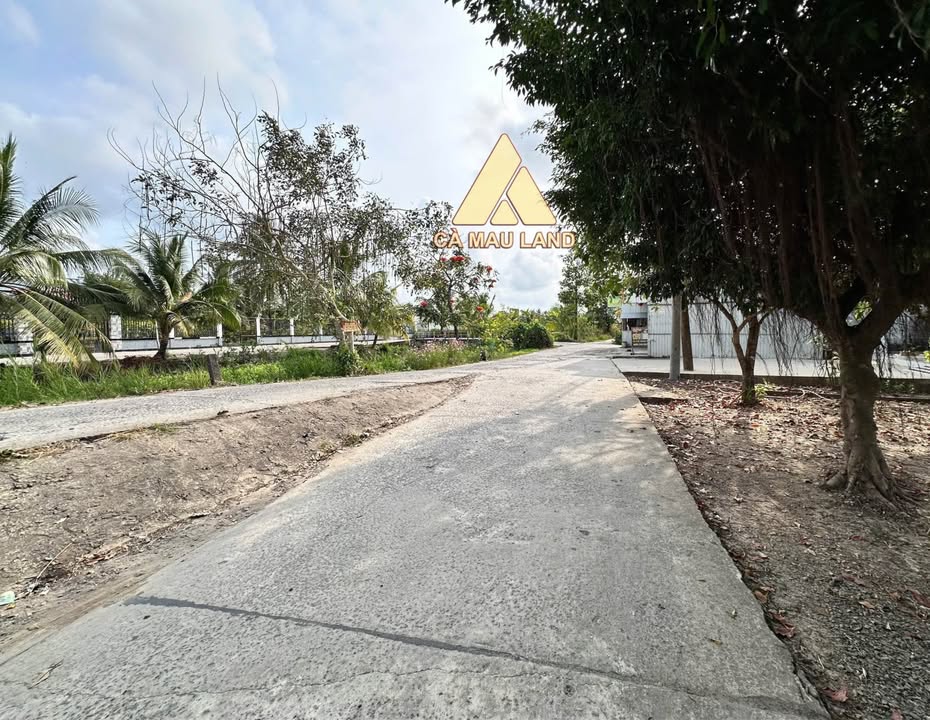 Bán Gấp Đất Vườn Rộng 247m² Cà Mau - Sổ Đỏ Full Thổ Cư