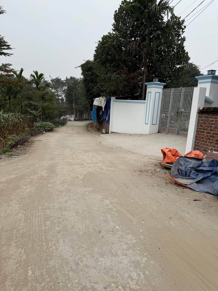 Đất Nền Sơn Đông, Lập Thạch - 110m² Hướng Nam, Giá Tốt