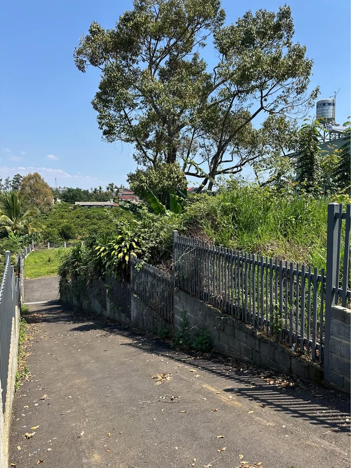 Đất nghỉ dưỡng Bảo Lộc 1200m² view thoáng, sổ đỏ sẵn chỉ 3.7 tỷ