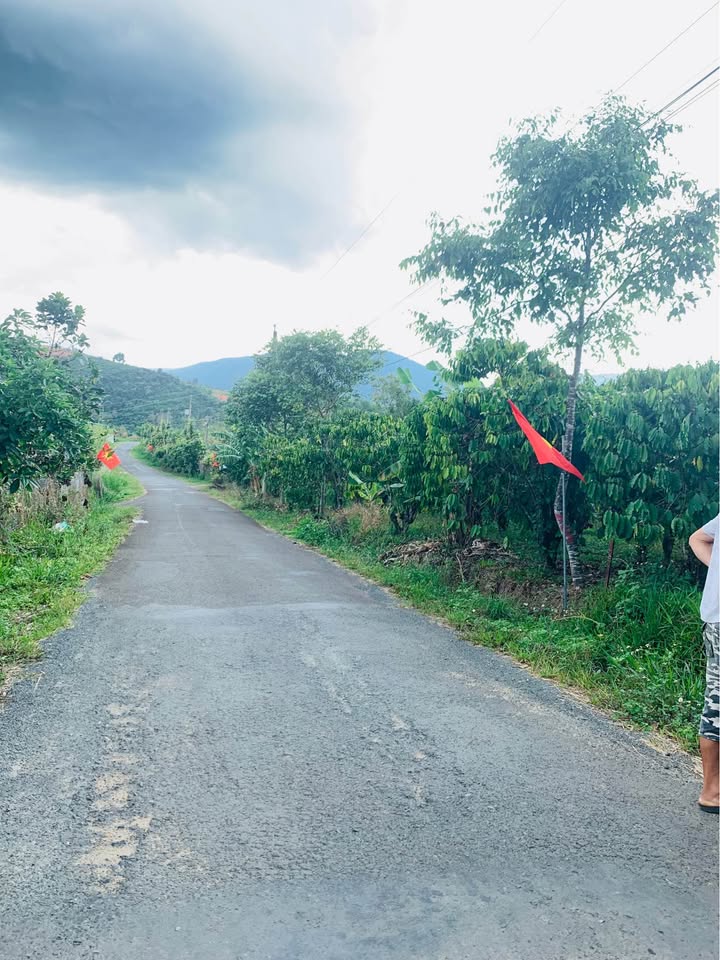 Đất Vườn 20000m² Lộc Nam, Bảo Lâm - Sổ Đỏ Thổ Cư, Giá Đầu Tư 180 Tỷ