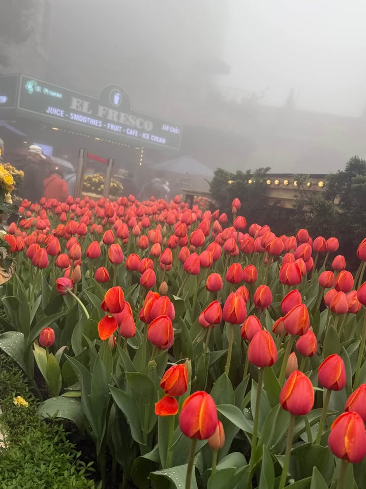 Căn hộ Trần Quý Khoách, Tam Kỳ 90m² giá 6.1 tỷ - Sẵn sàng dọn vào ở