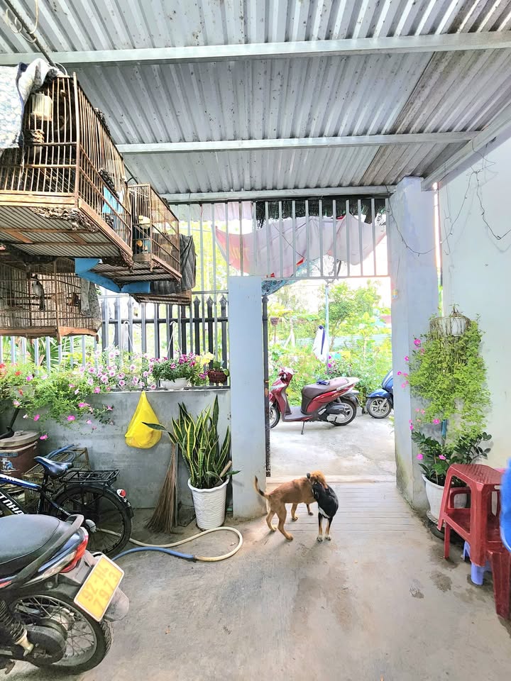 Nhà 80m² Gần Chợ Hòa Khánh, Đà Nẵng - Giá 1 Tỷ, Sẵn Ở/Cho Thuê