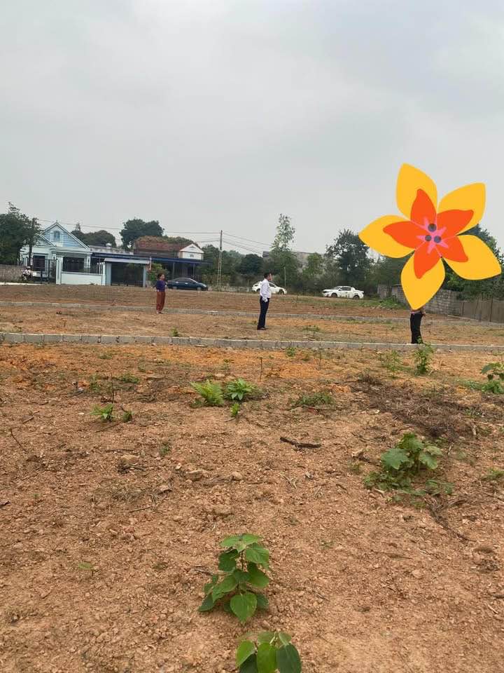 Đất Nền Lương Sơn 300m² - Sổ Đỏ Vuông Vắn, View Đẹp, Giá Tốt