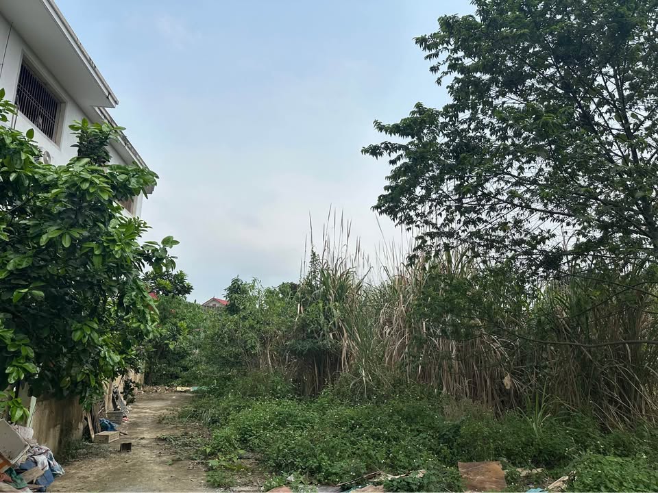 Bán Đất Nền Đại Từ 160m² Hơn 1 Tỷ - Gần Chùa Hang, Sẵn Sàng Xây Dựng