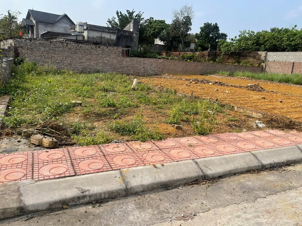 Đất thổ cư 118m² Quốc Oai - Đường ô tô, giá hơn 2x tỷ