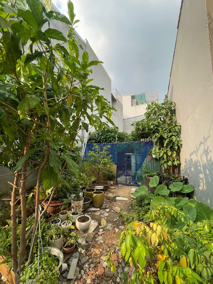 Bán Đất Thổ Cư 59m² Mặt Tiền Đường 17, Linh Trung, Thủ Đức - Giá 4.2 Tỷ