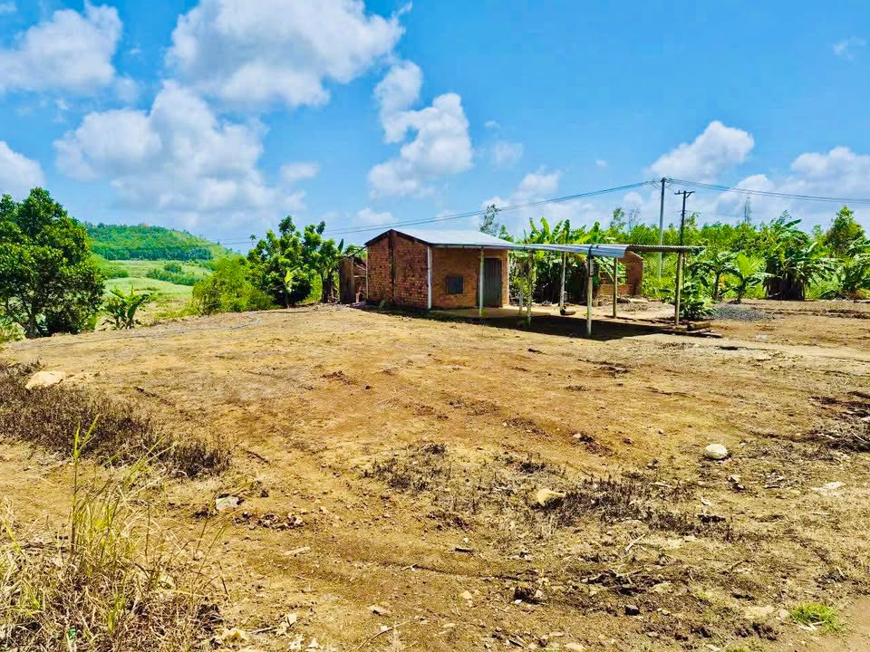 Đất Nền 1409m² An Thọ, Tuy Hoà - Sổ Đỏ Full Thổ Cư, Tách 6 Lô