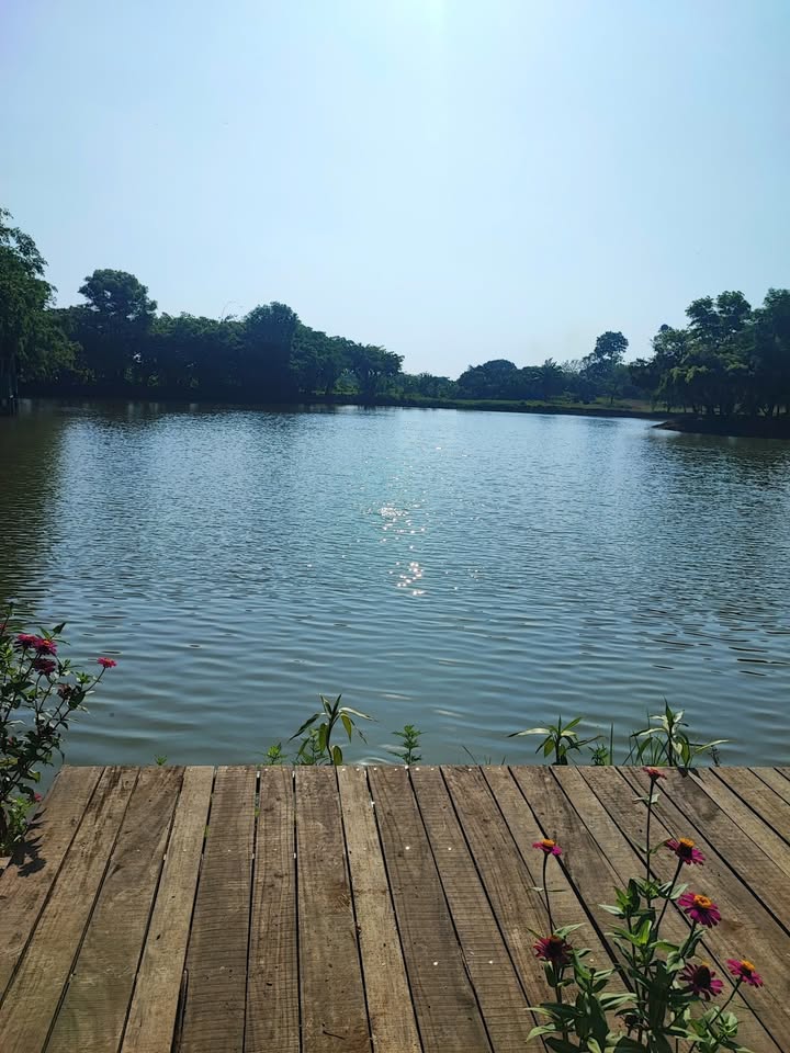 Đất Sổ Riêng 80m² 2 Mặt Tiền - Vĩnh Cửu, Đồng Nai | Giá Tốt