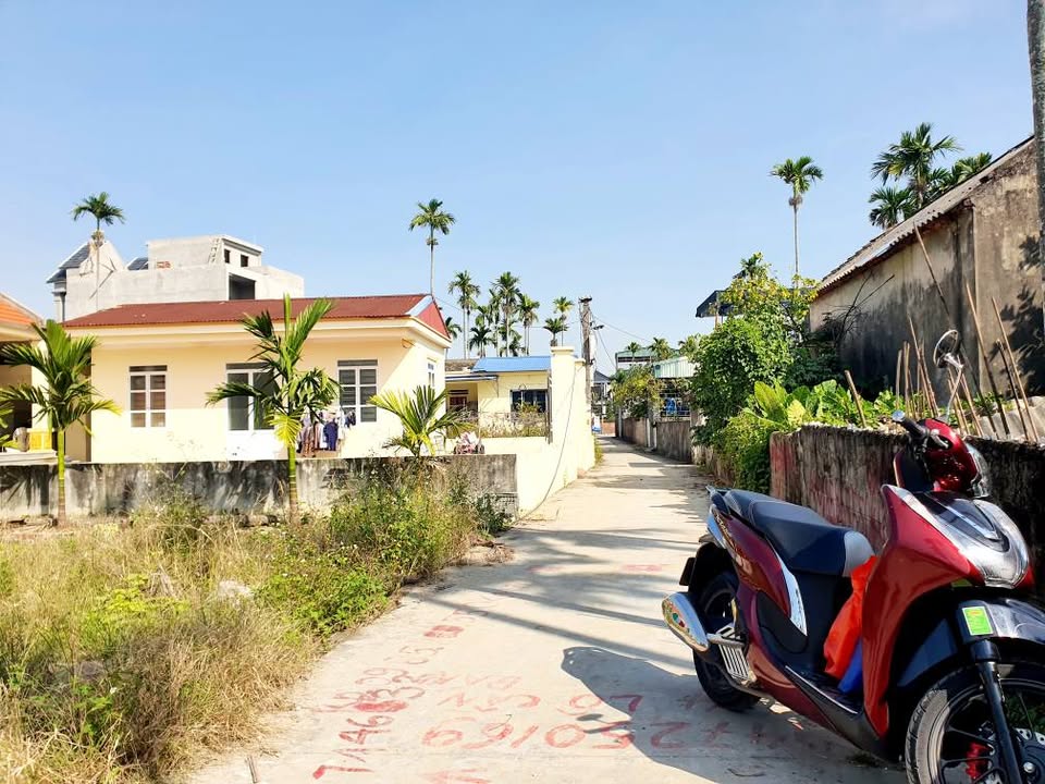 Bán Đất Nền Thôn 4 Thủy Nguyên 50m² - Ngõ Ô Tô, Giá Chỉ Hơn 800 Triệu