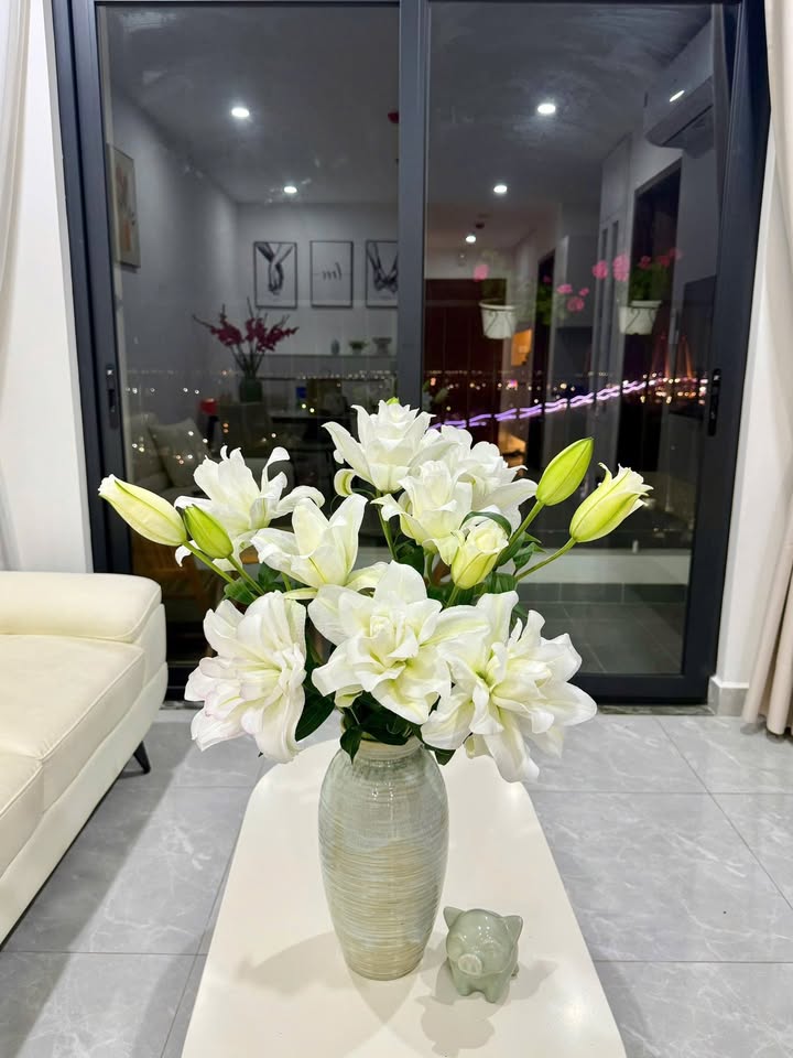 Cho thuê Căn hộ 384 Lê Thánh Tông, Hải Phòng - Giá chỉ từ 5 triệu/tháng