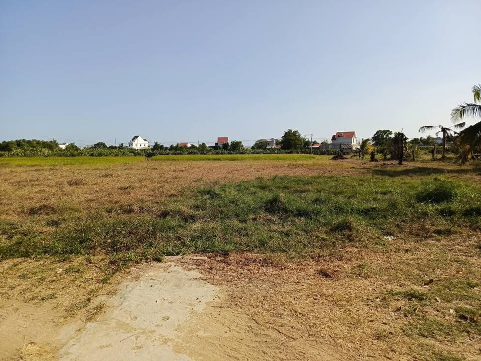 Đất Hàm Thuận Bắc 1800m² Sổ Đỏ Quy Hoạch Thổ Cư - Giá 1.2 Tỷ/Sào