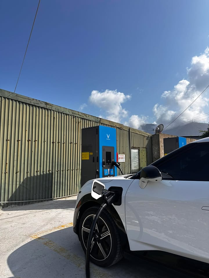 Đất Tái Định Cư Kỳ Liên 115m² - Kinh Doanh Sầm Uất, Pháp Lý Sạch