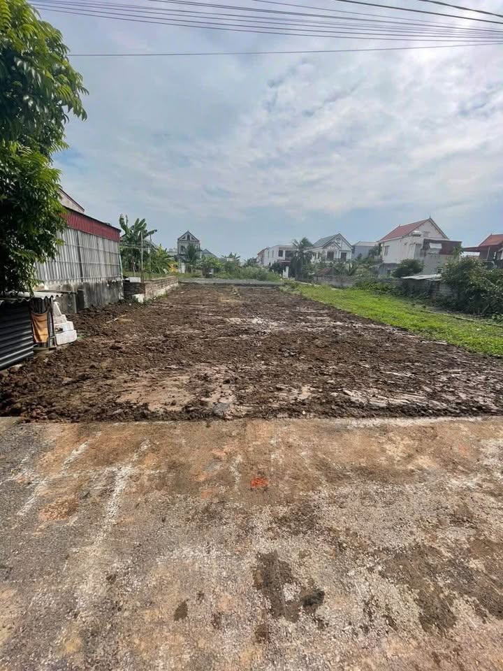 Bán Đất Mặt Đường Nhựa 101m² Kiến Thụy - Tiềm Năng Sinh Lời Cao