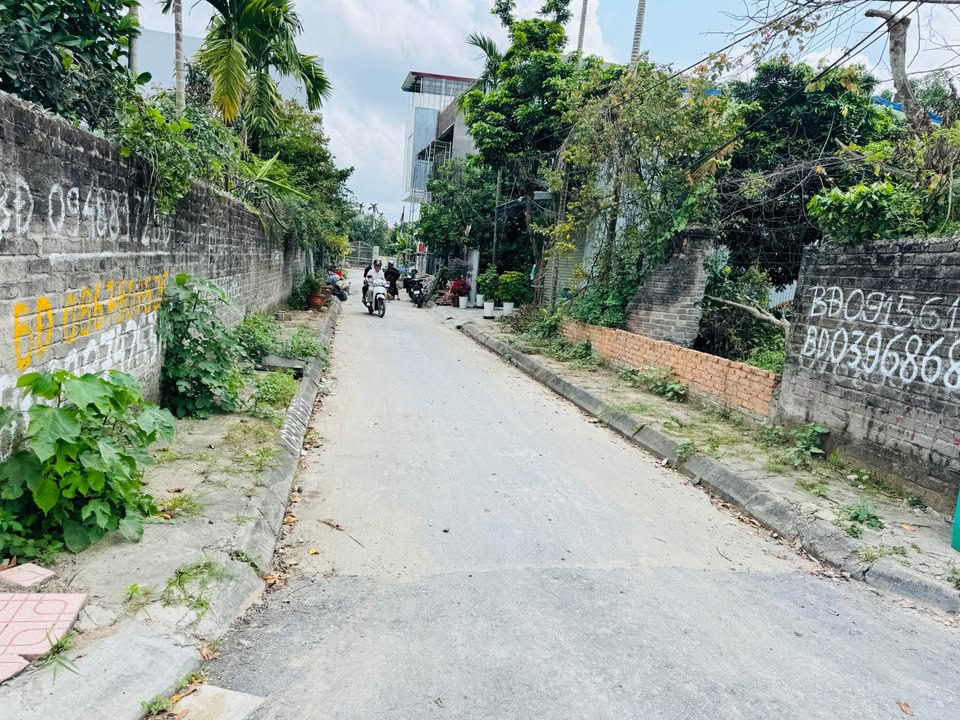 Đất nền An Lão 100m² - Ngay tuyến đường 5.5m, tiềm năng tăng giá vượt trội