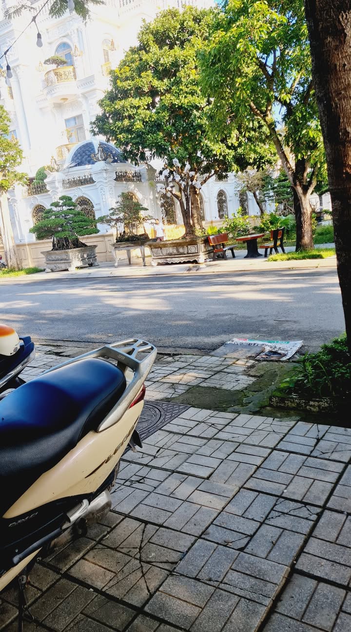 Đất Nền Mặt Tiền Phan Thái Ân, Quảng Ngãi - 113m² Giá 3 Tỷ Hướng Tây